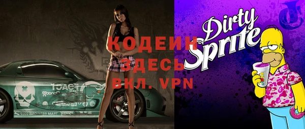 шишки Кирсанов