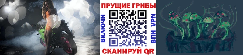 что такое   Липки  Псилоцибиновые грибы Cubensis 